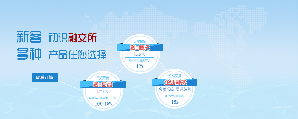 2025年全球半画幅定焦镜头市场竞争态势